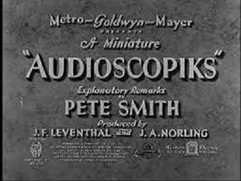 Foto 1 de Audioscopiks