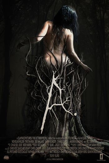 Poster de Filme Ayla (2017)