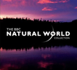 The BBC: Natural World - Puerto Rico: Island of Enchantment