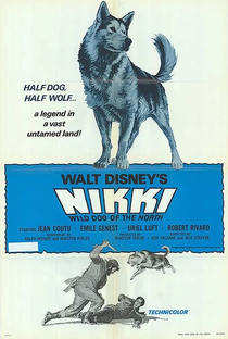 Nikki - O Cão Selvagem do Norte - Poster / Capa / Cartaz - Oficial 4