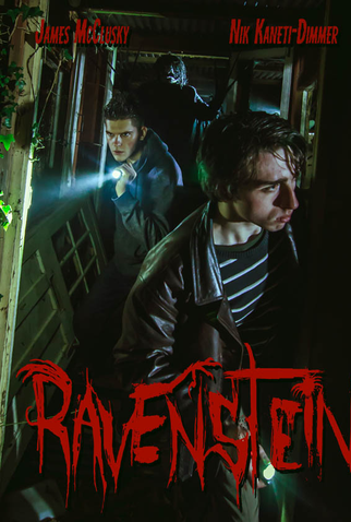 Poster 1 de Filme Ravenstein (2020)