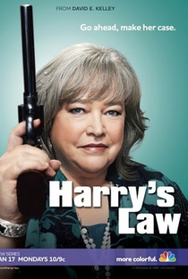 A Lei de Harry (1ª Temporada) - Poster / Capa / Cartaz - Oficial 1