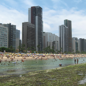 Foto de perfil de Jupira