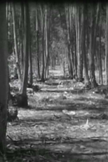 Neuer Fruhling (Neuer Fruhling)