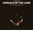 Animais da Terra