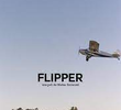 Flipper