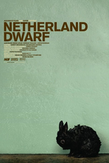 Netherland Dwarf (Netherland Dwarf)