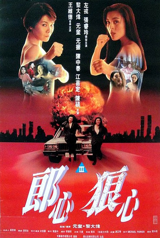 Poster 2 de Filme Mulheres em Fuga (1993)