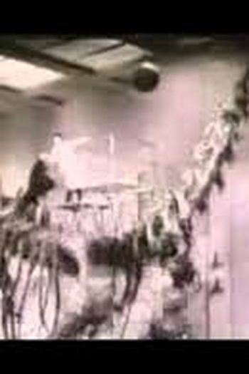  de Filme Precious images (1986)