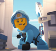 Sky Police