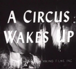 A Circus Wakes Up