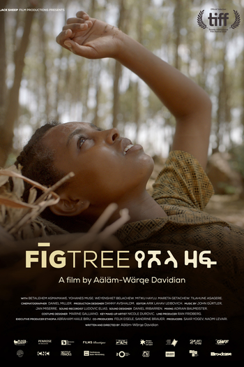 Poster de Filme Fig Tree (2018)