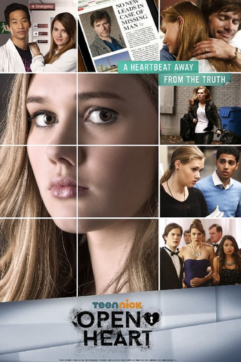 Poster de Franquia Open Heart (2015)