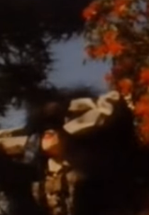 Strawberry Switchblade: Who Knows What Love Is (Strawberry Switchblade: Who Knows What Love Is)