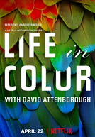 A Vida em Cores com David Attenborough (1ª Temporada) (Life In Colour With David Attenborough (Season 1))