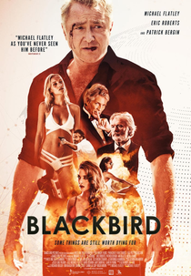 Blackbird (Blackbird)