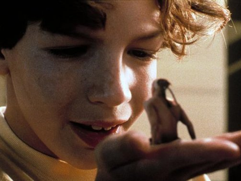 Foto 1 de A Chave Mágica