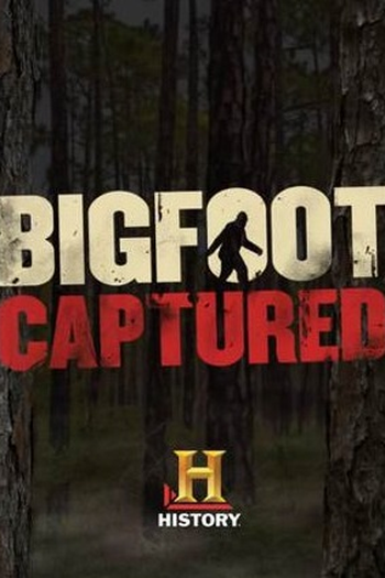 Poster de Filme A Captura do Pé Grande (2015)