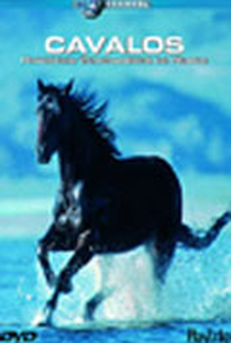 Discovery Channel - Cavalos - Poster / Capa / Cartaz - Oficial 1