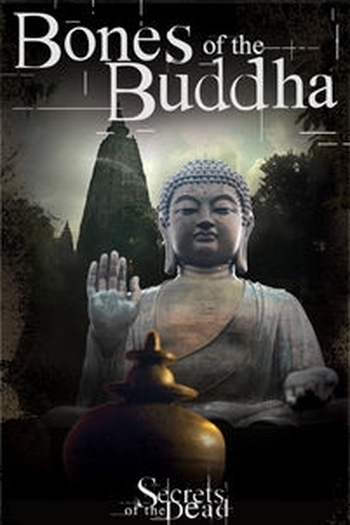 Poster de Filme Os Restos Mortais de Buda (2013)