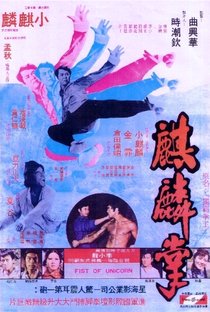 Bruce Lee - O Punho Demolidor - Poster / Capa / Cartaz - Oficial 2
