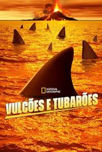 Vulcões e Tubarões - Poster / Capa / Cartaz - Oficial 1