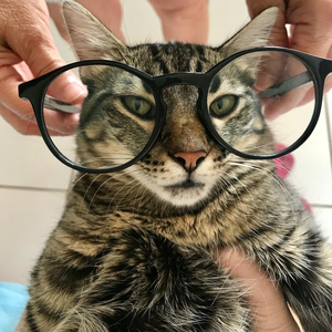 Foto de perfil de Isadora