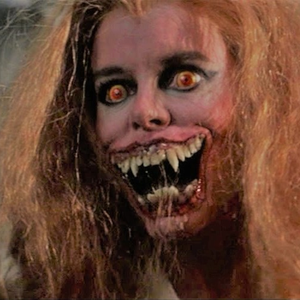 Foto de perfil de Beto A.