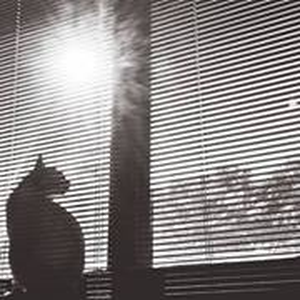 Foto de perfil de Andre