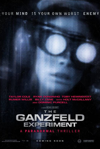 Poster 1 de Filme The Ganzfeld Haunting (2014)