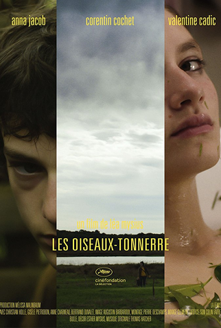 Poster 1 de Curta Thunderbirds (2014)