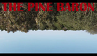 THE PINE BARON IG TEASER 2