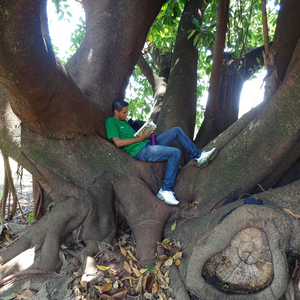 Foto de perfil de Erlandio Sousa