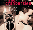 The Cranberries - Live 1994