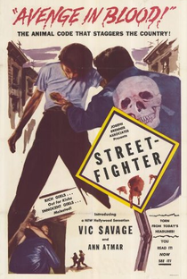 Street-Fighter - Poster / Capa / Cartaz - Oficial 1