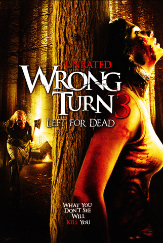 Poster 3 de Filme Pânico na Floresta 3: Caminho da Morte (2009)