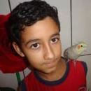 Foto de perfil de Pedro Henrique