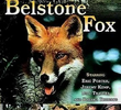 Belstone - A História de uma Raposa