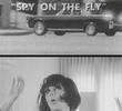 Spy on the Fly