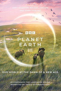 Planeta Terra (3ª Temporada) - Poster / Capa / Cartaz - Oficial 2