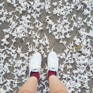 Foto de perfil de maritabai