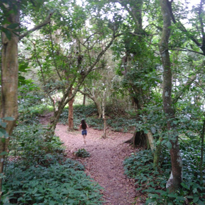 Foto de perfil de Ana