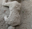 Pompeia: Revelações Inéditas