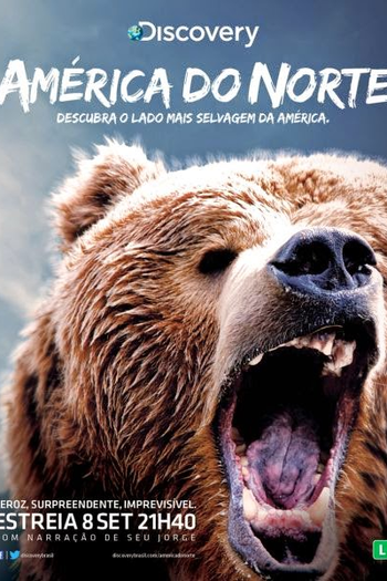  de Série América do Norte (2013)