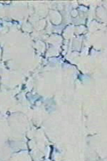  de Curta Prelude 2 (1996)