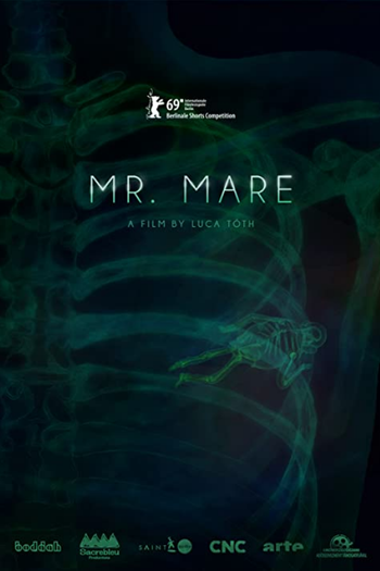 Poster de Curta Mr. Mare (2019)