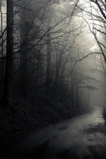 Don't Go on the Trail (Don't Go on the Trail)