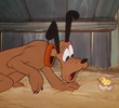 Mother Pluto