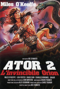 Ator: O Invencível - Poster / Capa / Cartaz - Oficial 5