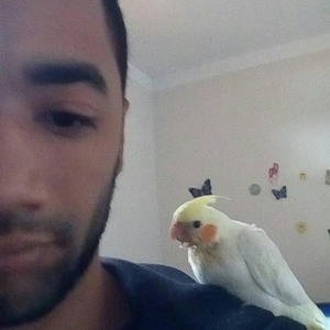 Foto de perfil de Washington